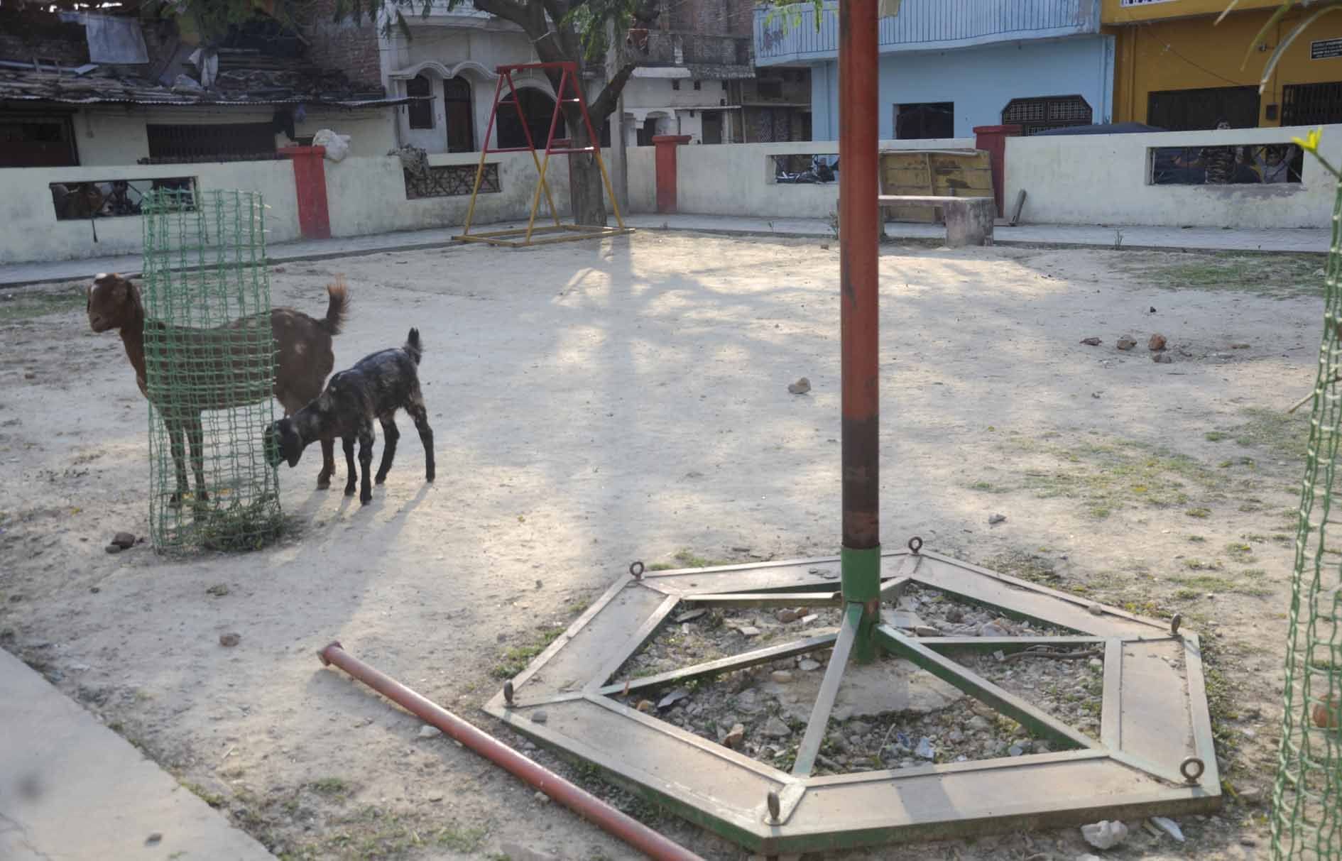 मीराभवन आवास विकास कालोनी में बने पार्क में टूटे झूले। मीराभवन आवास विकास कालोनी में बने पार्क में टूटे झूले।
