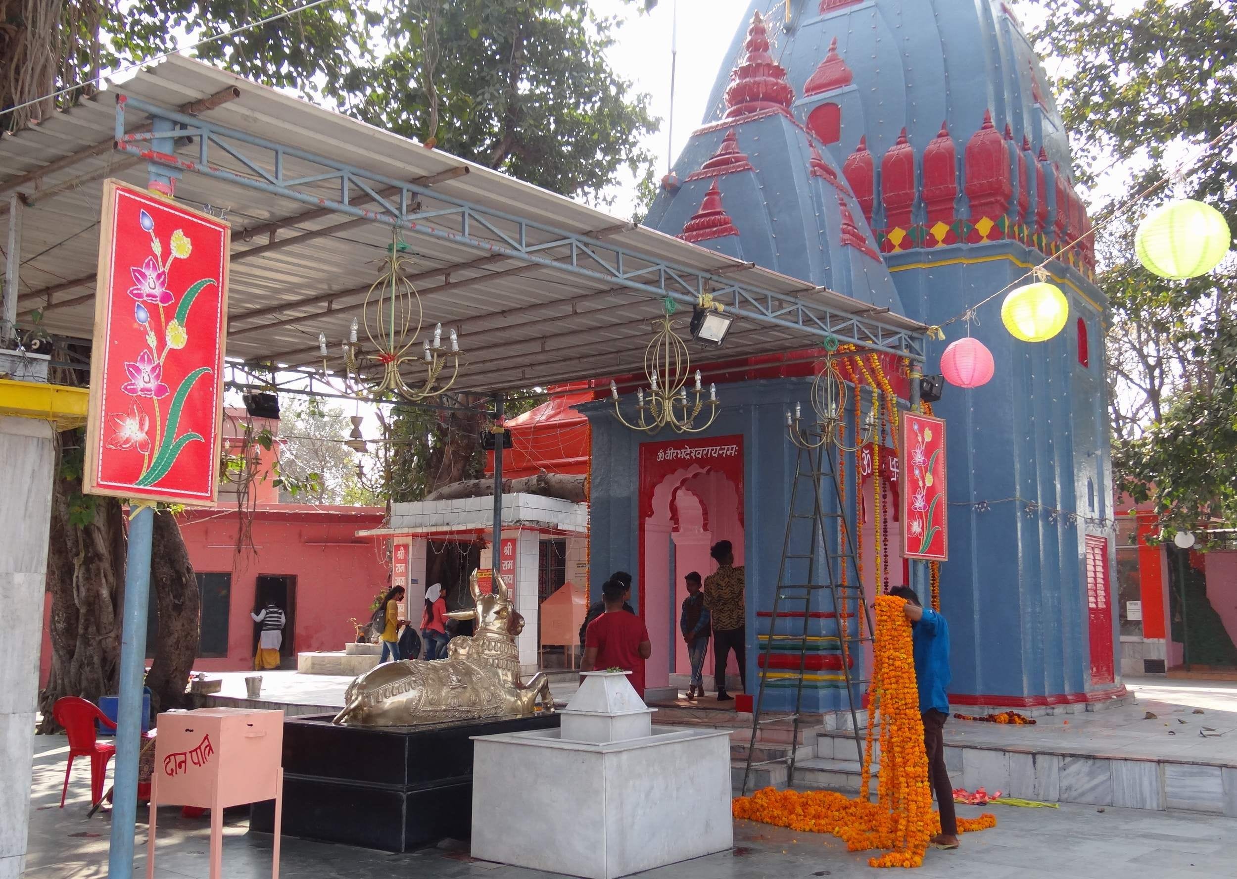 फूलों से सजा वीरभद्र महादेव मंदिर। फूलों से सजा वीरभद्र महादेव मंदिर।