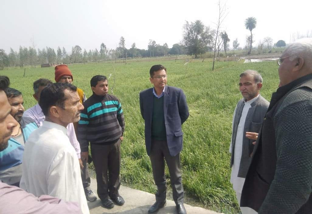 पथरी क्षेत्र में फसलो का आकलन करते हएु तहसीलदार आशीष घिल्डियाल। पथरी क्षेत्र में फसलो का आकलन करते हएु तहसीलदार आशीष घिल्डियाल।