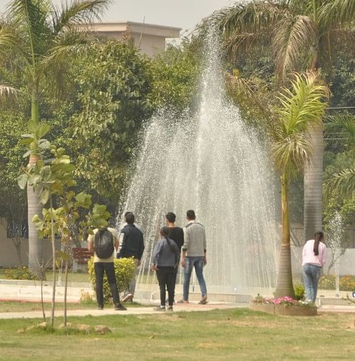 Pink Festival Of Color Festival Started With Colorful Flowers र ग ब र ग फ ल स ग ह आ र ग मह त सव क ग ल ब आग ज Rohtak News