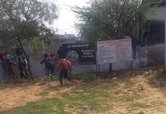 वन विभाग कार्यालय की दीवार पर चढ़कर नकल करवाते शरारती तत्व। वन विभाग कार्यालय की दीवार पर चढ़कर नकल करवाते शरारती तत्व।