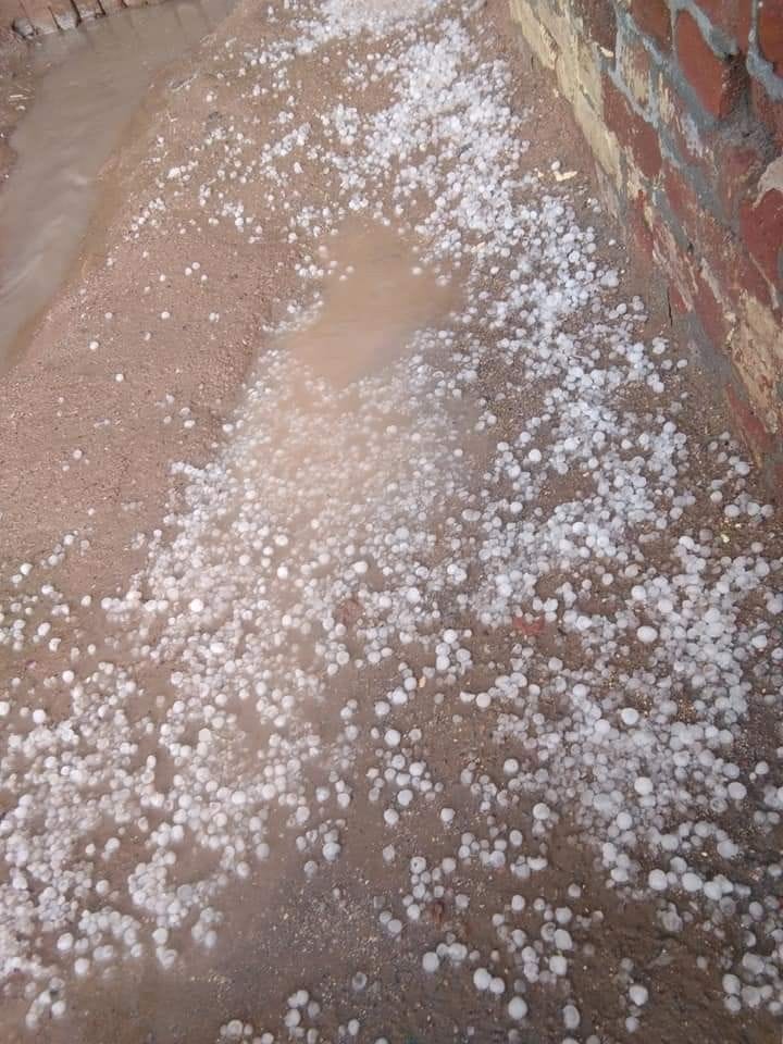 गांव झांवरी में हुई ओलावृष्टि के दौरान जमीन पर पड़े ओले। संवाद न्यूज एजेंसी गांव झांवरी में हुई ओलावृष्टि के दौरान जमीन पर पड़े ओले। संवाद न्यूज एजेंसी