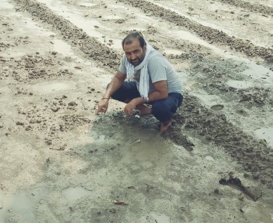 जलालाबाद क्षेत्र में बारिश से खराब हुई तरबूज की फसल दिखाता किसान जलालाबाद क्षेत्र में बारिश से खराब हुई तरबूज की फसल दिखाता किसान