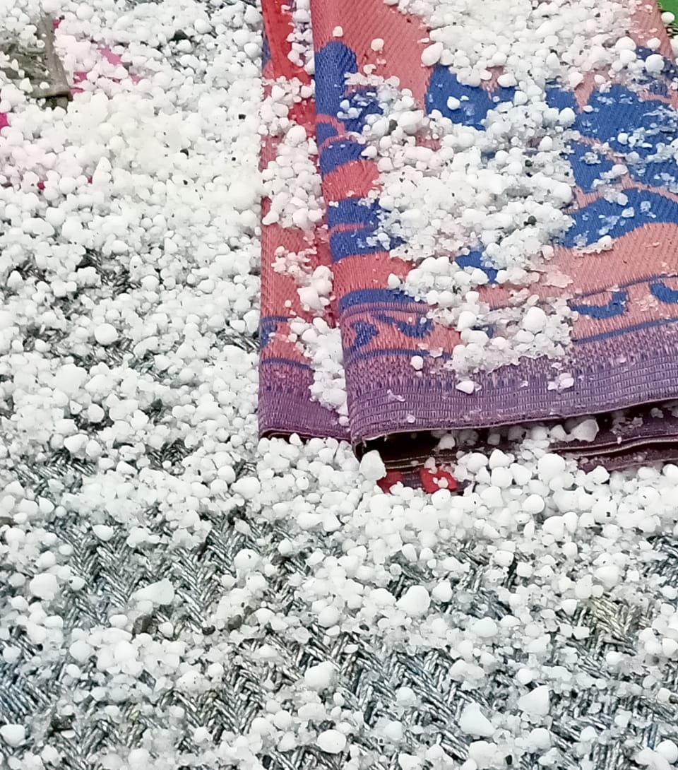 बिजनौर: स्योहारा में हुई ओलावृष्टि। बिजनौर: स्योहारा में हुई ओलावृष्टि।