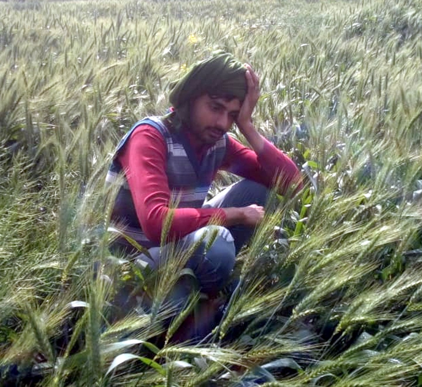 शामली के झिंझाना में शनिवार को बारिश के साथ चली तेज हवा से बर्बाद हुई फसल को देखकर उदास बैठा किसान? शामली के झिंझाना में शनिवार को बारिश के साथ चली तेज हवा से बर्बाद हुई फसल को देखकर उदास बैठा किसान?