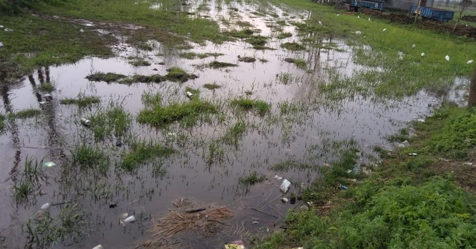 चिलकाना के खेतों में भरा बारिश का पानी