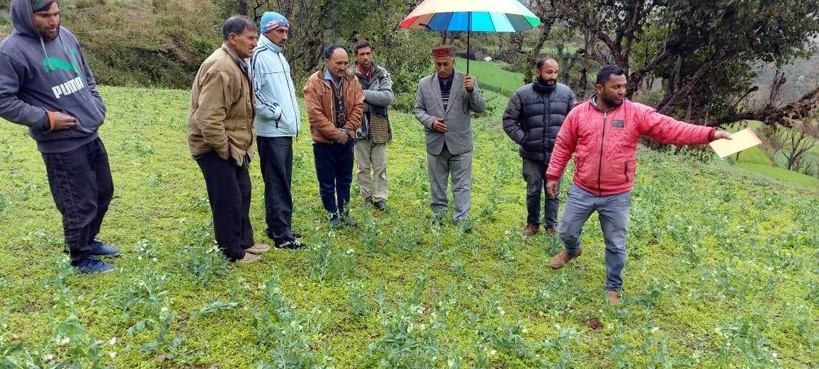 साहिया क्षेत्र के कोठा तारली गांव में ओलाबृष्टी से क्षतिग्रस्त फसल का निरीक्षण करने पहुंची राजस साहिया क्षेत्र के कोठा तारली गांव में ओलाबृष्टी से क्षतिग्रस्त फसल का निरीक्षण करने पहुंची राजस