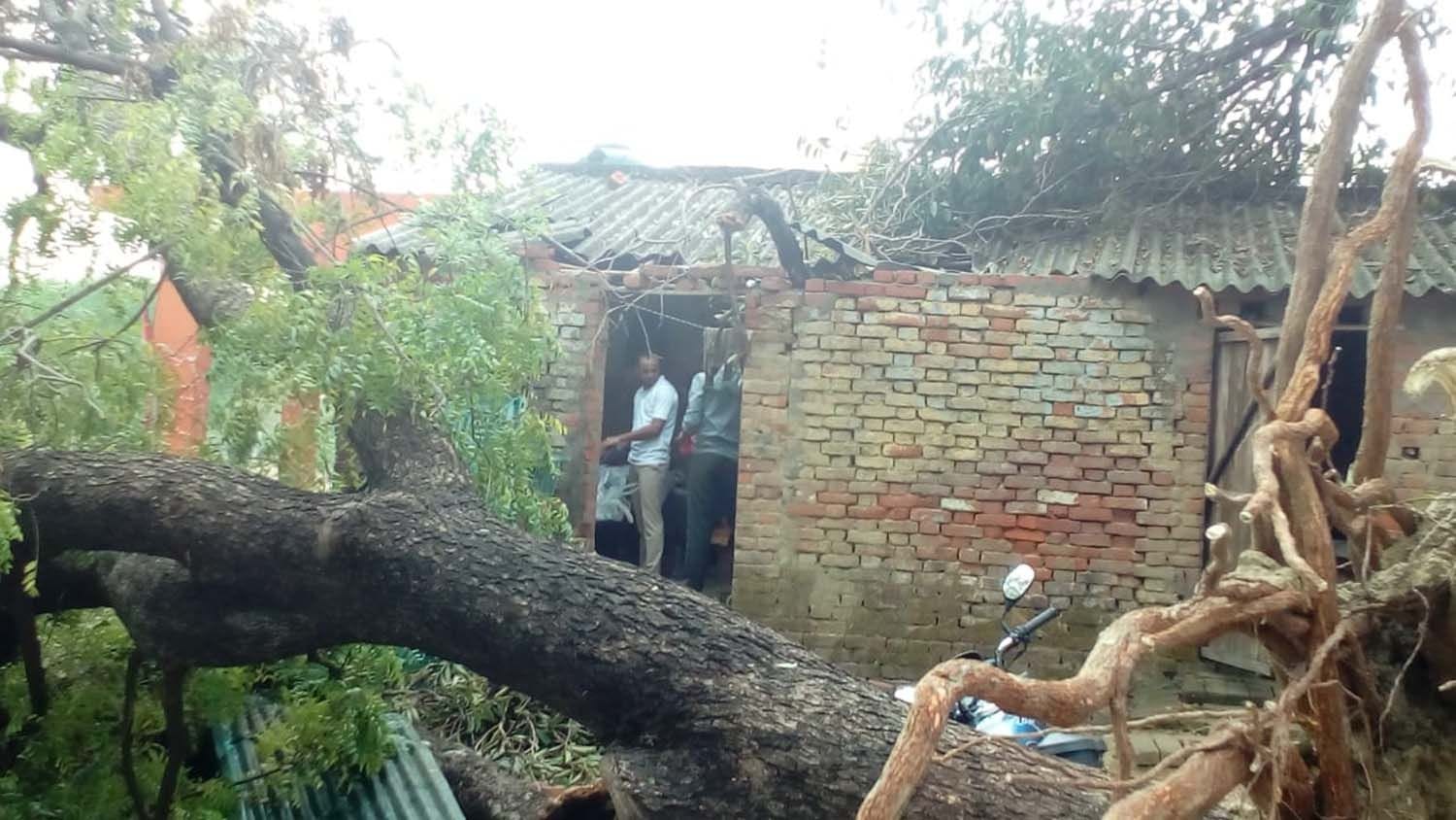 कोहडौर थाने के बैरक पर गिरा नीम का पेड़।
