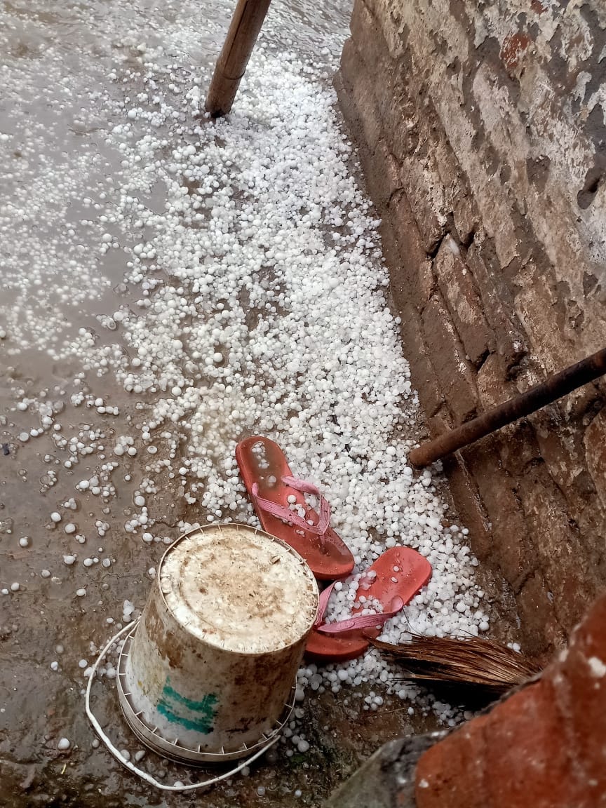 बिनौली के धनौरा सिल्वर नगर में गांव में पड़े ओले बिनौली के धनौरा सिल्वर नगर में गांव में पड़े ओले