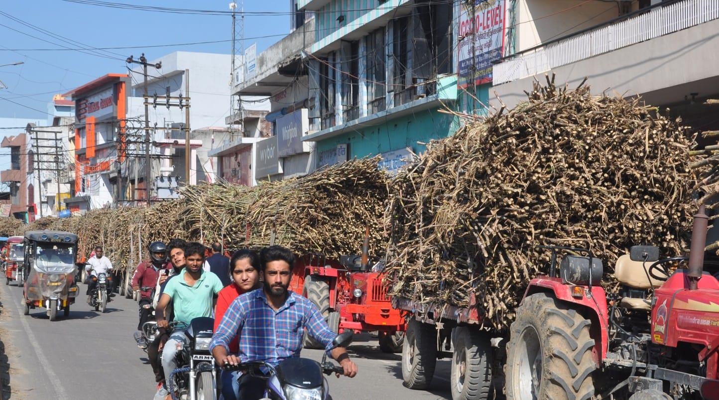 शामली गन्ने की ट्रैक्टर ट्रॉली से लगा जाम शामली गन्ने की ट्रैक्टर ट्रॉली से लगा जाम