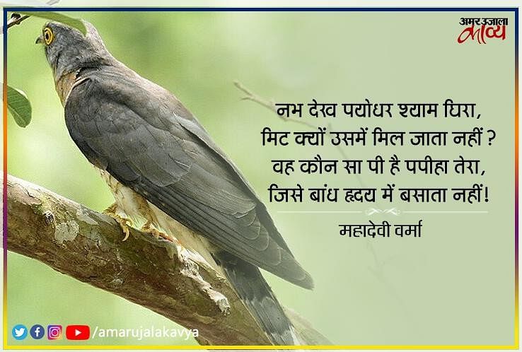 mahadevi-verma-famous-poem-in-hindi-papihe-se