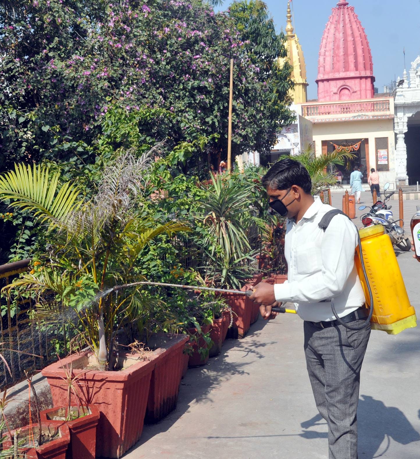 शामली हनुमान धाम पर पौधों में स्प्रे करते कर्मचारी। शामली हनुमान धाम पर पौधों में स्प्रे करते कर्मचारी।