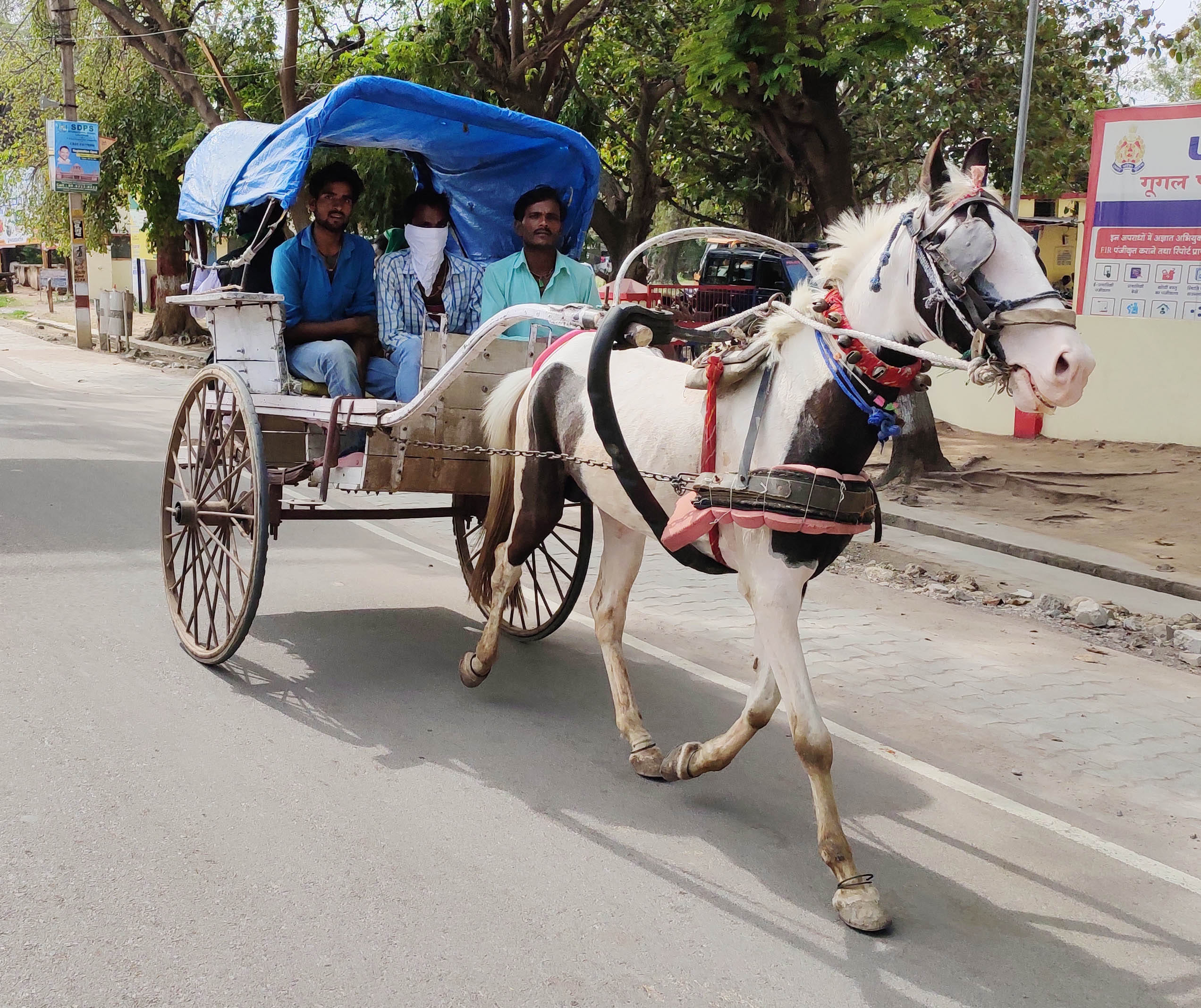 वाहन न मिलने से तांगे से यात्रा करते लोग वाहन न मिलने से तांगे से यात्रा करते लोग