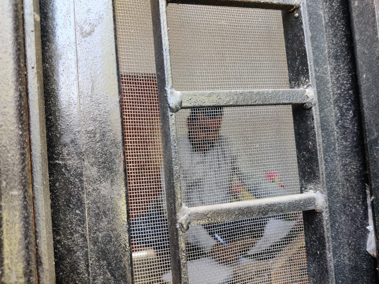 खटीमा में कोरोना वायरस को लेकर संदिग्ध मिले लोगों से मिलने के बाद एहतियातन के तौर पर जनजाति छात्र