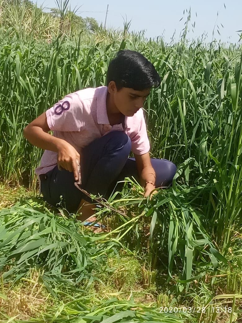 सपना। सपना।