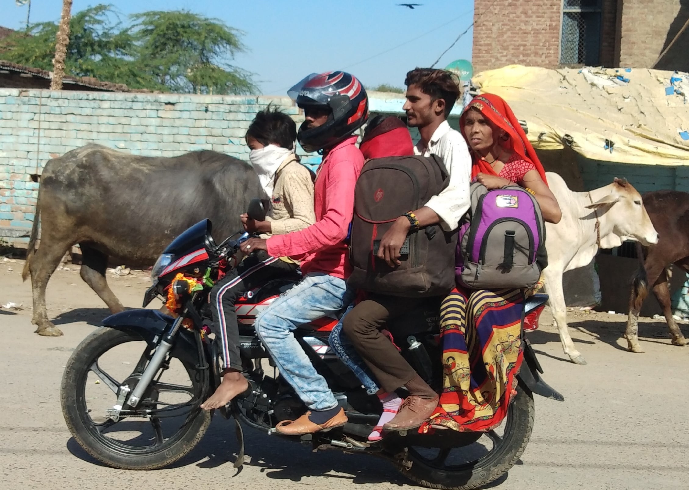 जालौनः कानपुर देहात के भोगनीपुर से एक बाइक पर परिवार के साथ हमीरपुर के राठ कस्बे के लिए जाता सुखद? जालौनः कानपुर देहात के भोगनीपुर से एक बाइक पर परिवार के साथ हमीरपुर के राठ कस्बे के लिए जाता सुखद?