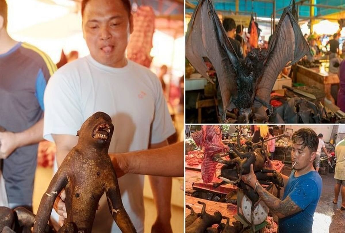 Reality Of Chinas Wuhan Wet Market And How Wildlife Trade Is Linked To Coronavirus च न क वह ब ज र जह म लत ह हर प रक र क म स ऐस ह म ड स न कल ज नल व