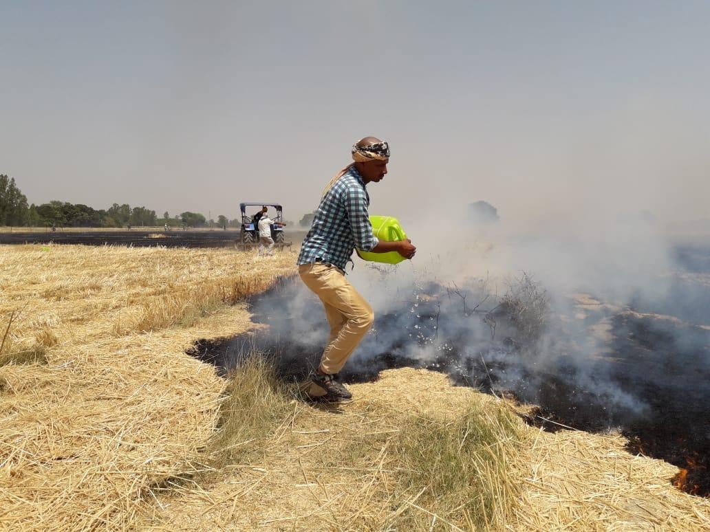 कदौरा में पानी डालकर आग बुझाता किसान