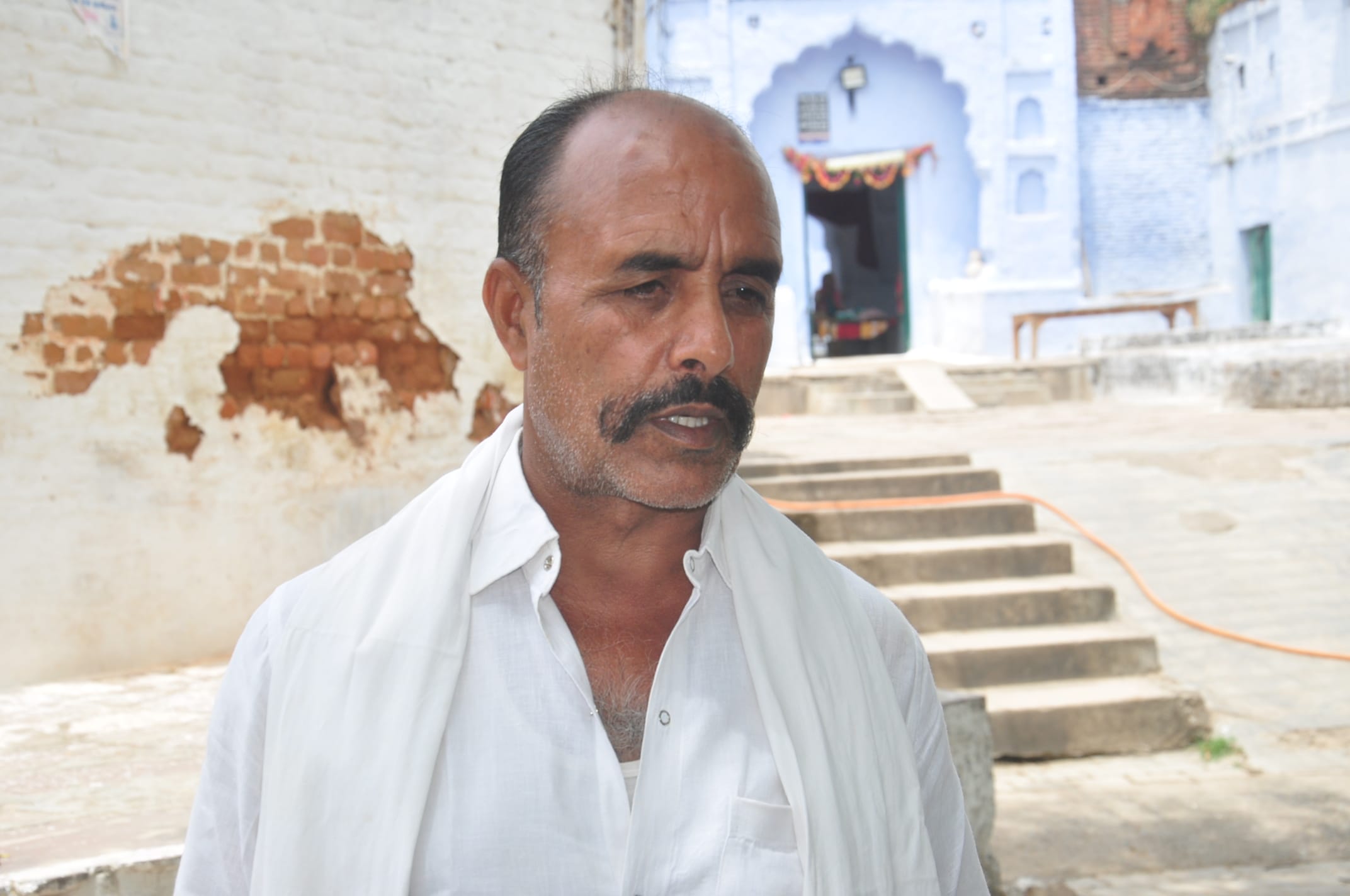 50 percent demand is less in milk, animal owner on big crises 50 percent demand is less in milk, animal owner on big crises