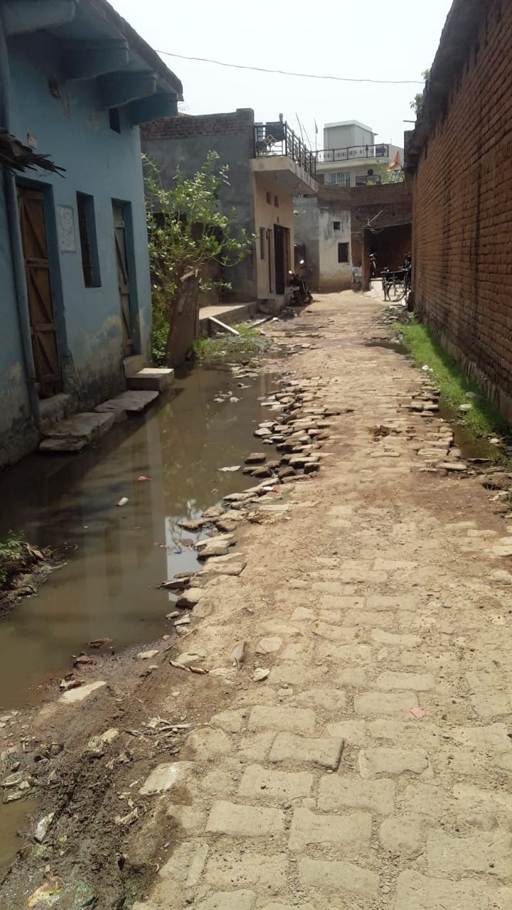 आदाजपुरा में गंदगी से भरी पड़ी नाली आदाजपुरा में गंदगी से भरी पड़ी नाली