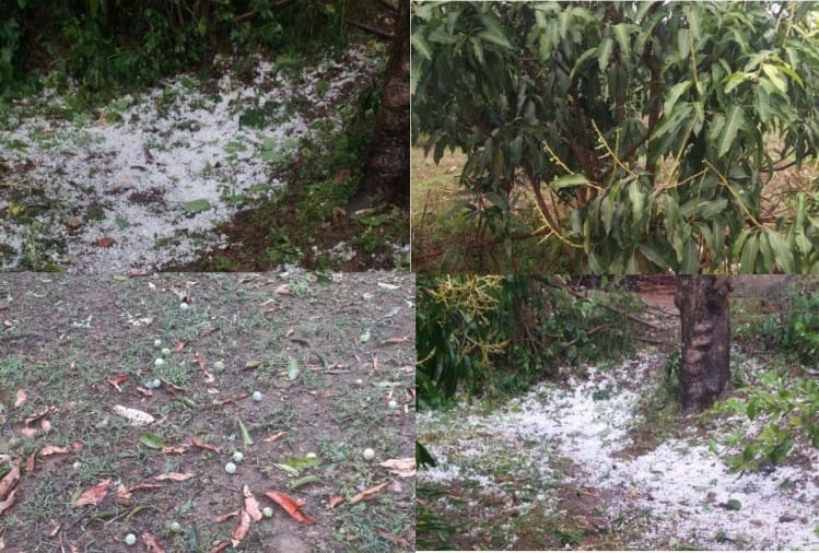 फाइल फोटो