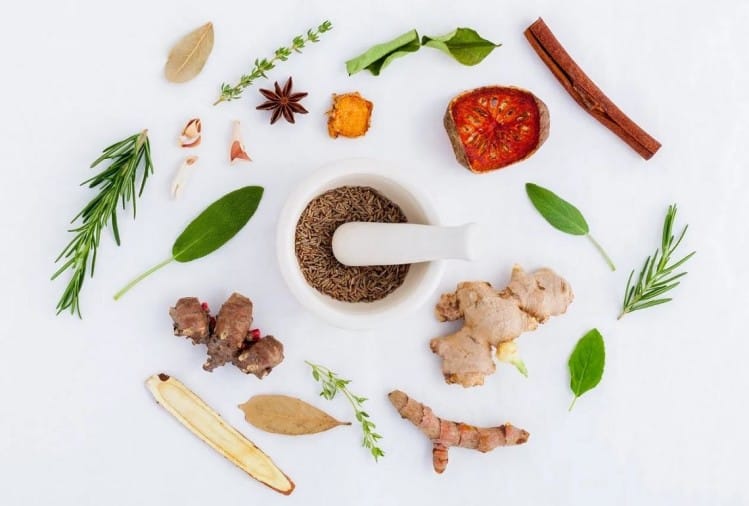 इम्यूनिटी बढ़ाने वाले फूड्स (सांकेतिक तस्वीर)