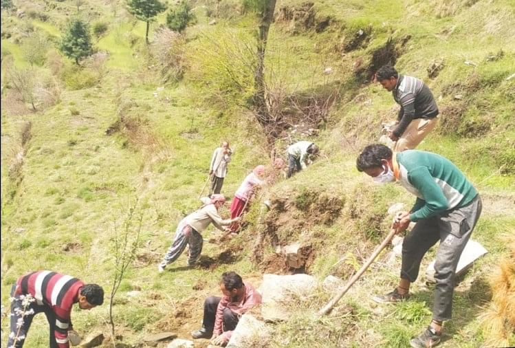 हिमाचल में मेगा प्रोजेक्ट सहित 10 हजार काम शुरू, एक लाख से ज्यादा को मिला रोजगार हिमाचल में मेगा प्रोजेक्ट सहित 10 हजार काम शुरू, एक लाख से ज्यादा को मिला रोजगार