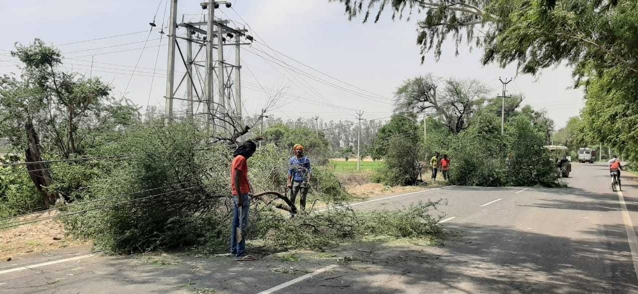 आंधी के कारण सड़क के बीच में गिरा पड़ा पेड़। आंधी के कारण सड़क के बीच में गिरा पड़ा पेड़।