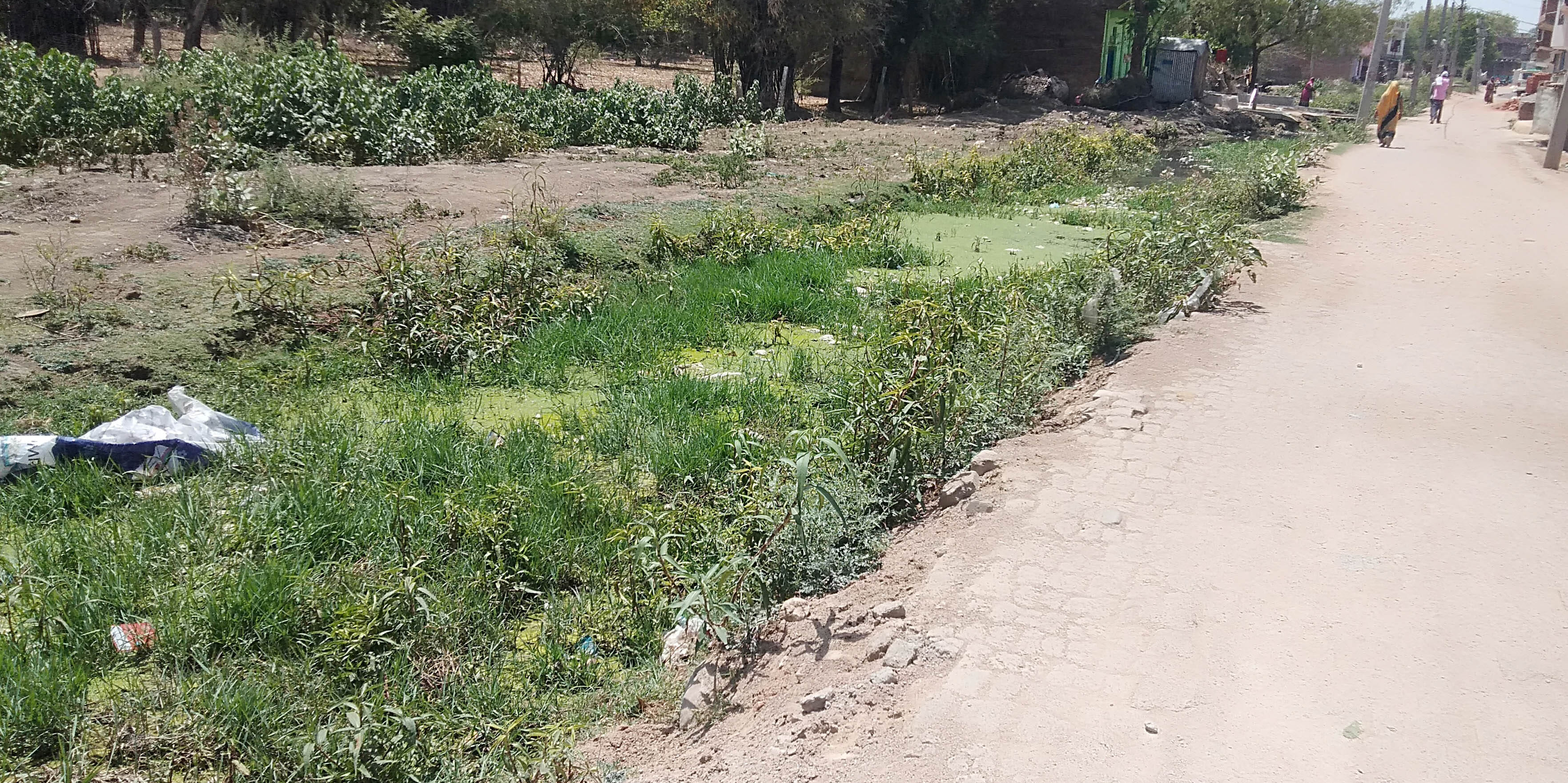 मुड़िया माइनर में गंदगी मुड़िया माइनर में गंदगी