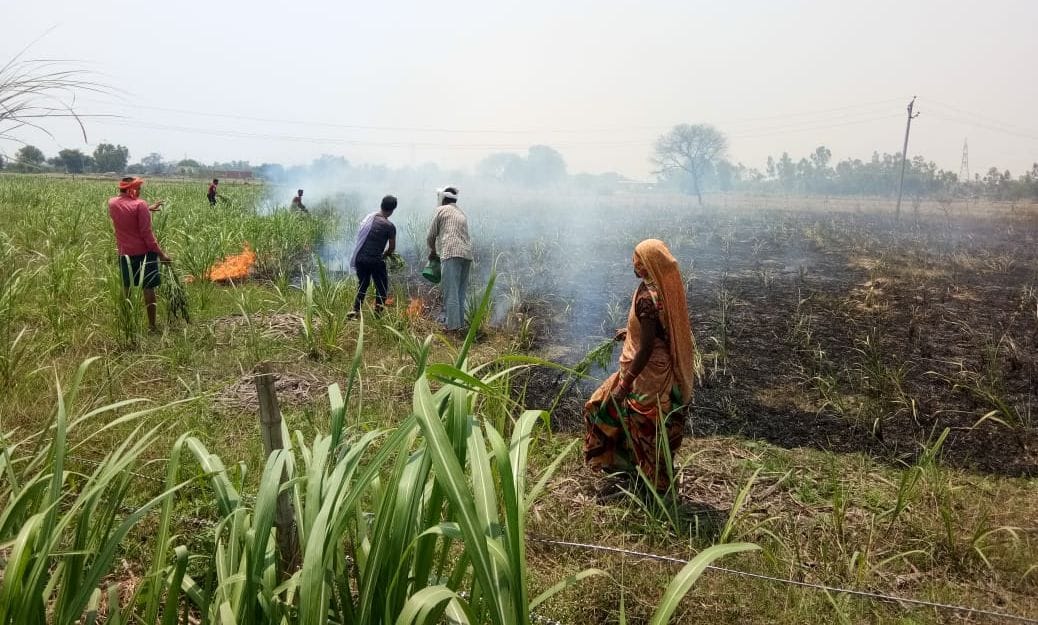 फोटो-25 - गन्ने की फसल में लगी आग बुझाते किसान। संवाद फोटो-25 - गन्ने की फसल में लगी आग बुझाते किसान। संवाद