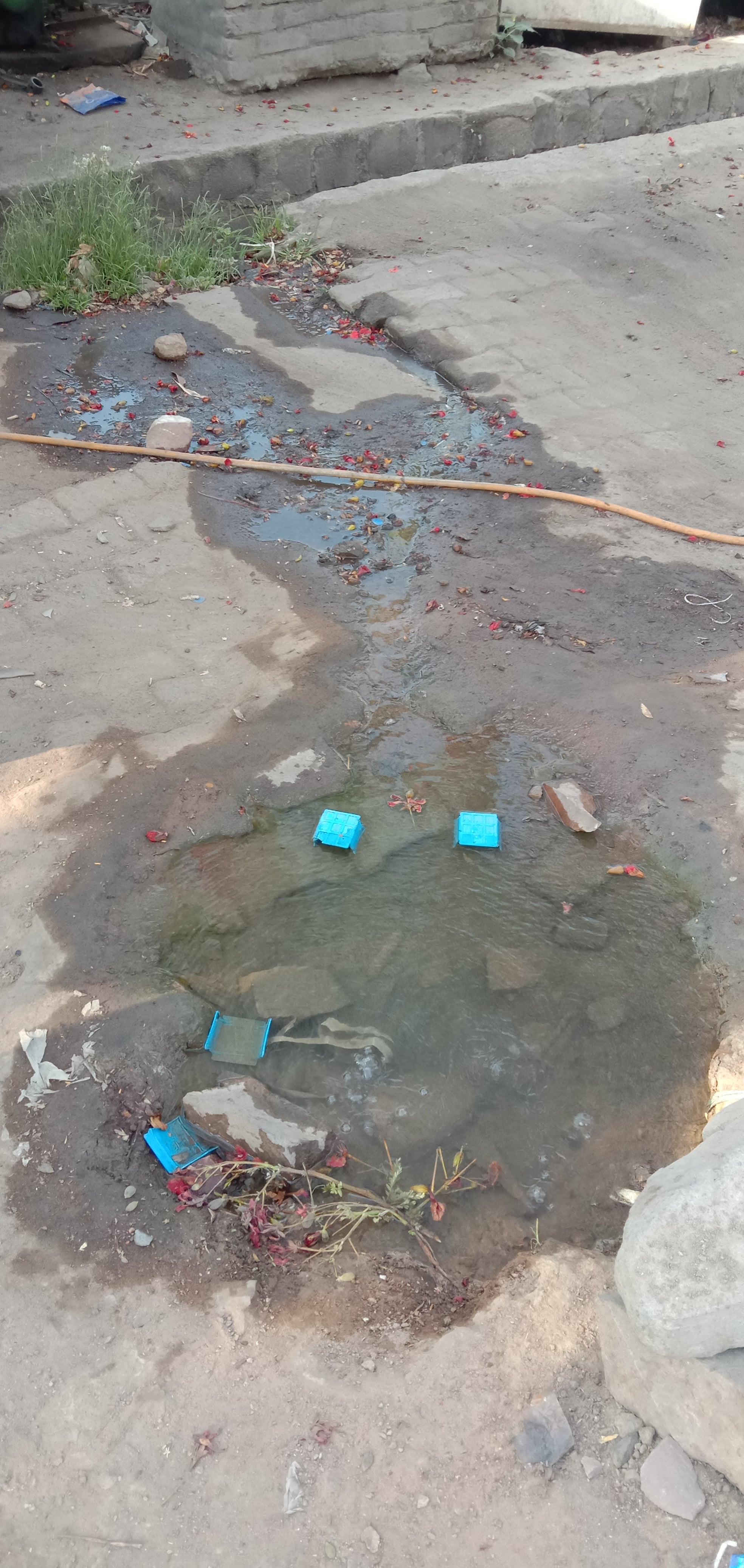 तुवन मंदिर के पास पाइप लाईन से लीकेज होता पानी तुवन मंदिर के पास पाइप लाईन से लीकेज होता पानी