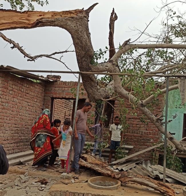 जलेसर के एक गांव में आंधी और बारिश के दौरान एक आवास में गिरा पेड़। संवाद जलेसर के एक गांव में आंधी और बारिश के दौरान एक आवास में गिरा पेड़। संवाद