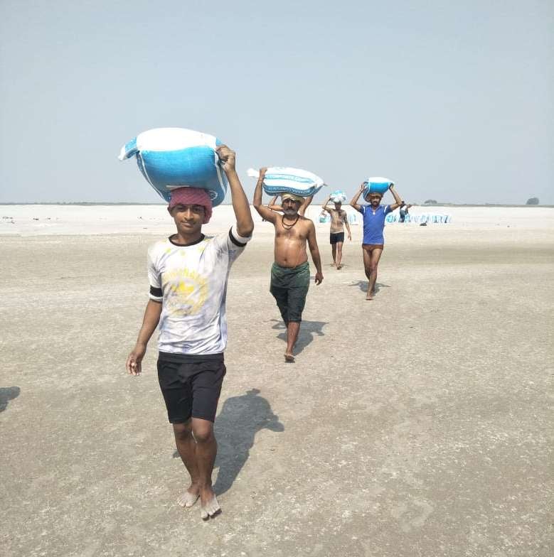 गंगा नदी की धारा को दूसरी ओर मोड़ने के लिए बोरी बालू भरकर लेकर गंगा में जाते नौरंगा गांव के युवा। गंगा नदी की धारा को दूसरी ओर मोड़ने के लिए बोरी बालू भरकर लेकर गंगा में जाते नौरंगा गांव के युवा।