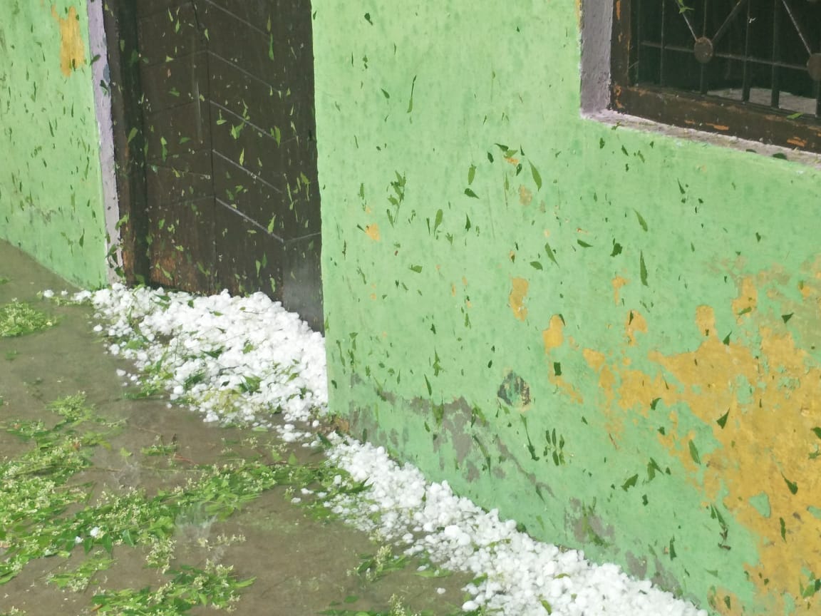 गंगोह क्षेत्र में ओलावृष्टि के दौरान पड़े ओले गंगोह क्षेत्र में ओलावृष्टि के दौरान पड़े ओले