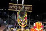 शनि जयंती के अवसर पर शनि साढ़े साती और ढैय्या से बचने के लिए शनि धाम कोकिलावन में कराएं तेल अभिषेक : 22-मई-2020
