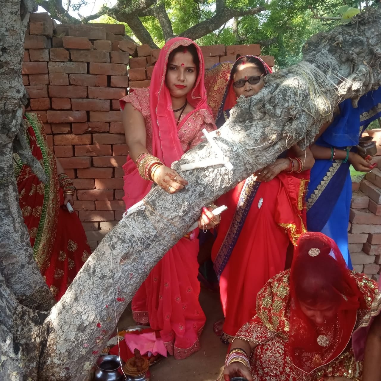बरगद के पेड़ में धागा बांधती महिलाएं बरगद के पेड़ में धागा बांधती महिलाएं