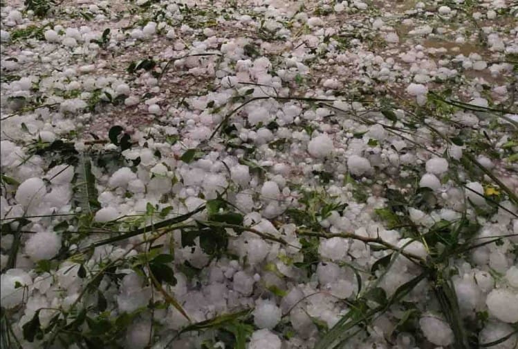 सदी की सबसे भीषण ओलावृष्टि से फसलें चौपट