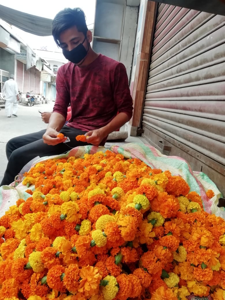शाहनवाज शाहनवाज