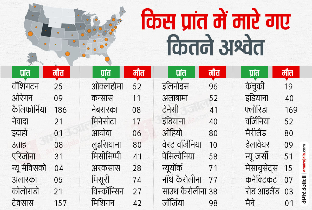 अमेरिका में हिंसा