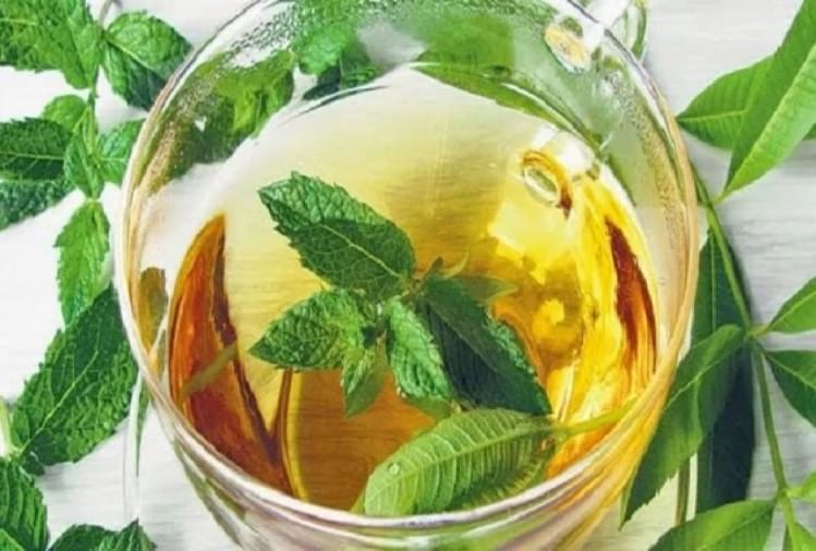 टकसाल चिया नुस्खा