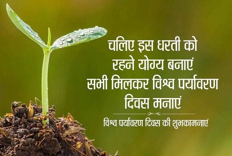 Happy World Environment Day 2020 Wishes, Images, Quotes