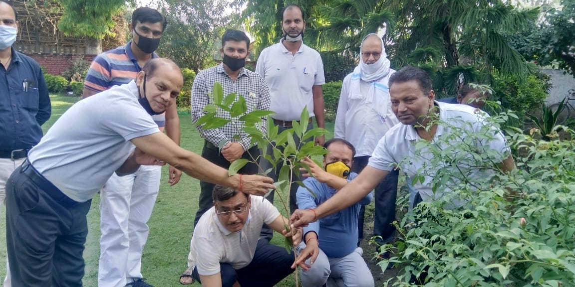 2 मंसूरपुर में वृक्षारोपण करते मिल अधिकारी। 2 मंसूरपुर में वृक्षारोपण करते मिल अधिकारी।