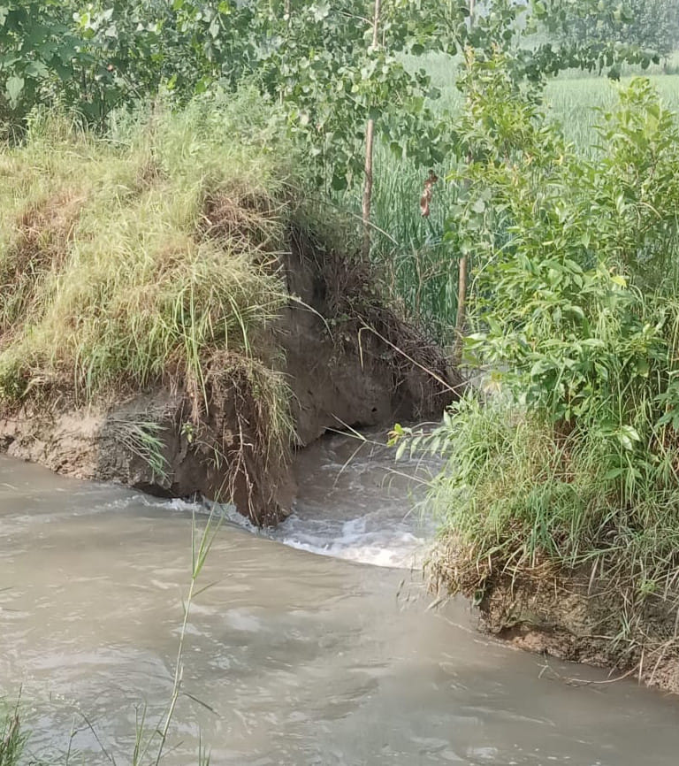 ंदरजुड्डा गांव में राजवाहे की टूटी पटरी से खेतों में घुसता पानी
