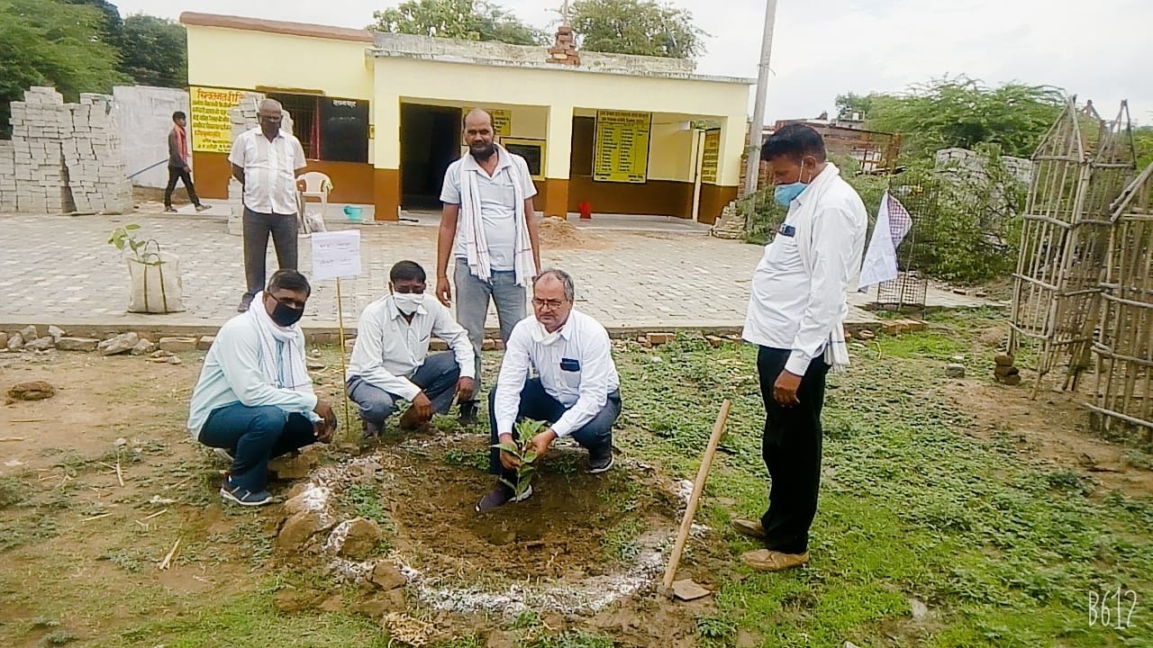 रहिया में पौधरोपण करते डकोर बीडीओ सुदामा शरण रहिया में पौधरोपण करते डकोर बीडीओ सुदामा शरण