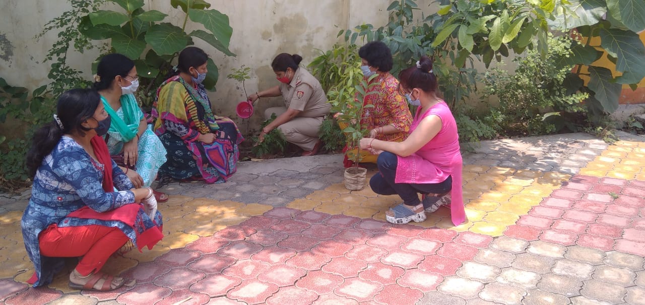शामली में अमर उजाला फाउंडेशन के अपराजिता अभियान के अंतर्गत महिला थाने में पौधरोपण करती महिला था? शामली में अमर उजाला फाउंडेशन के अपराजिता अभियान के अंतर्गत महिला थाने में पौधरोपण करती महिला था?