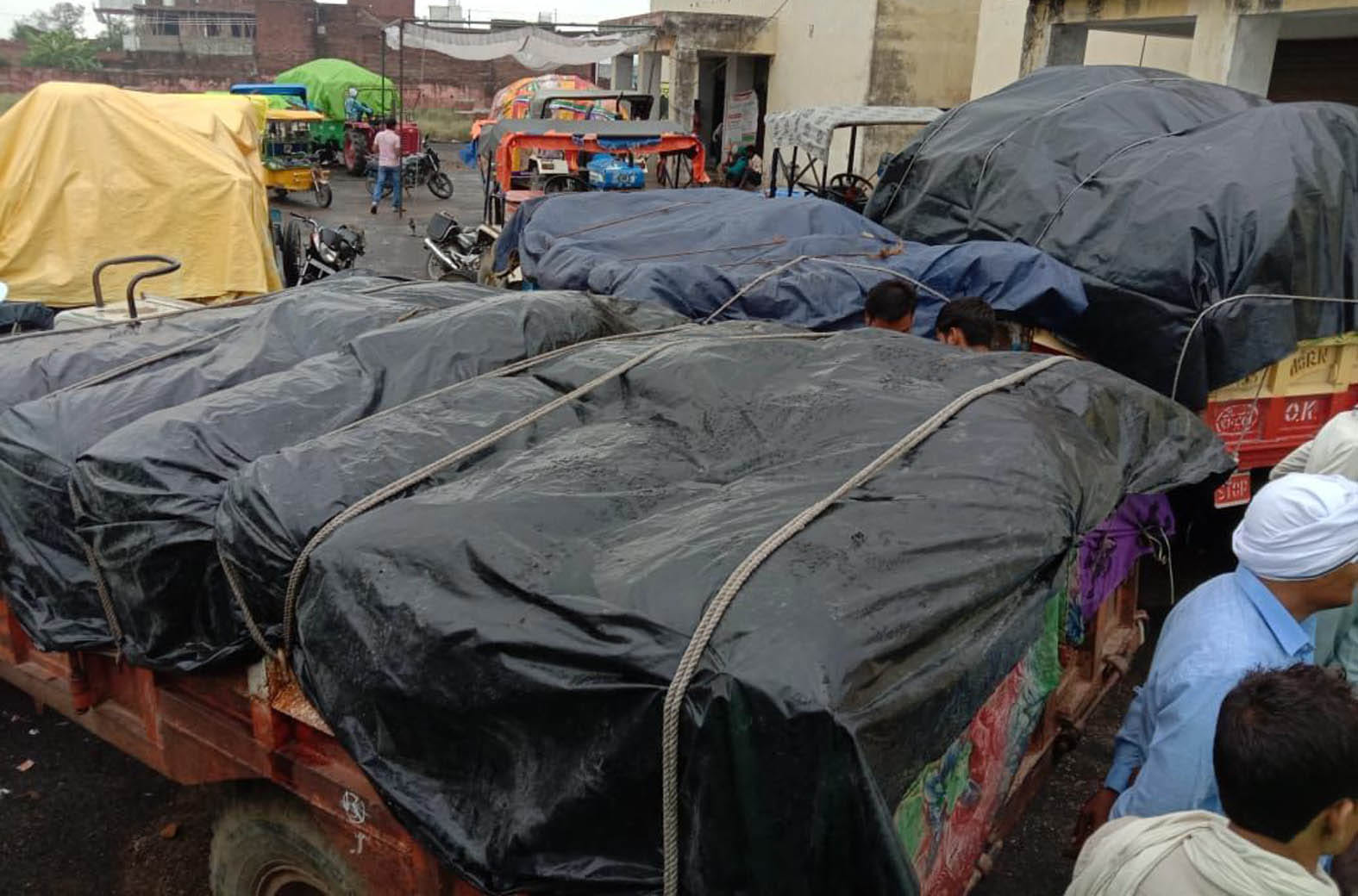 ट्रैक्टर ट्राली में लदा गेहूं को बारिश से बचाने के लिए डाली गई पॉलिथिन। ट्रैक्टर ट्राली में लदा गेहूं को बारिश से बचाने के लिए डाली गई पॉलिथिन।