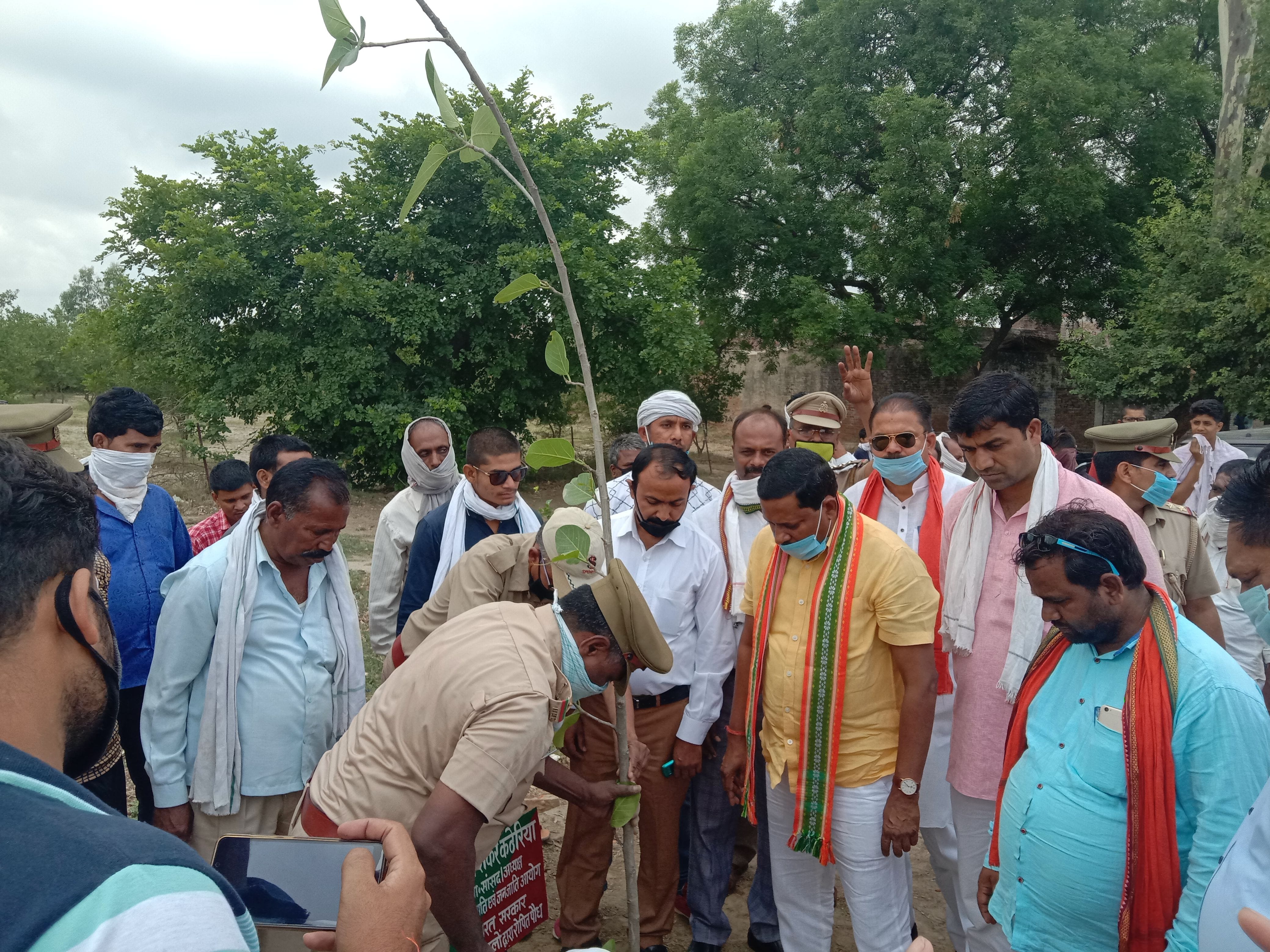संदलपुर के आंबेडकर पार्क में पौधरोपण करते एससी एसटी आयोग के अध्यक्ष रामशंकर कठेरिया।