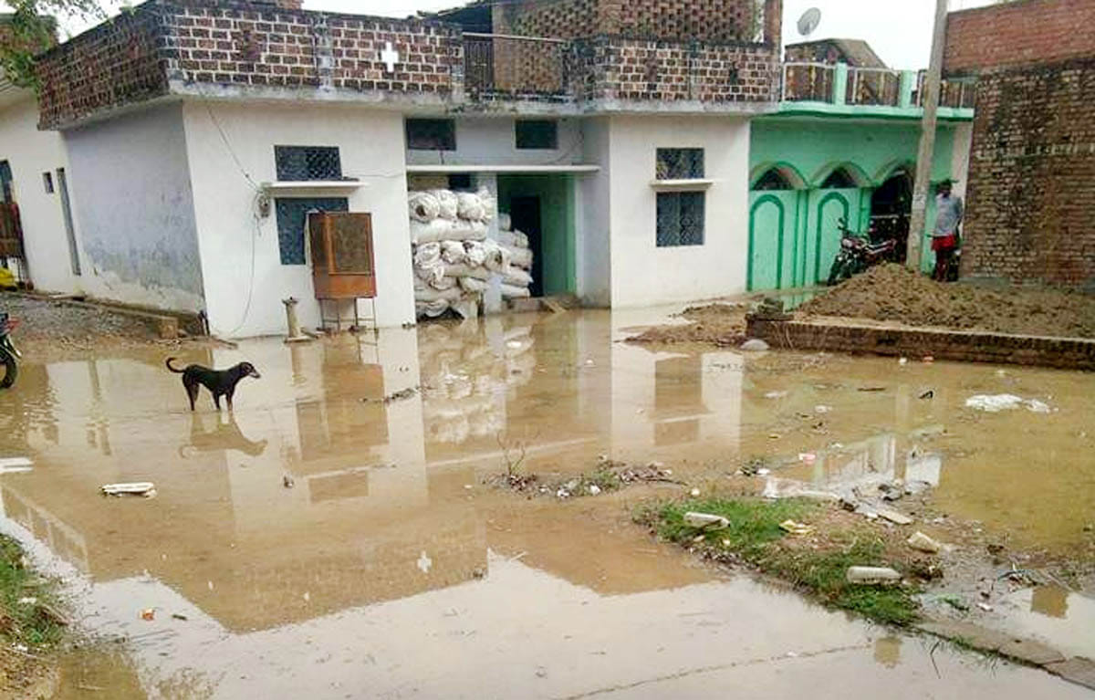 सुमेरपुर के वार्ड 16 में भरा बारिश पानी।