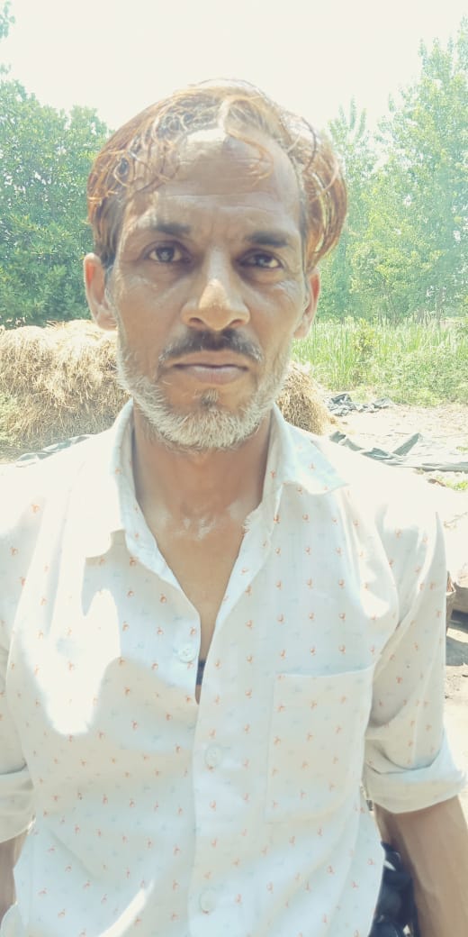 किसान तहसीन किसान तहसीन