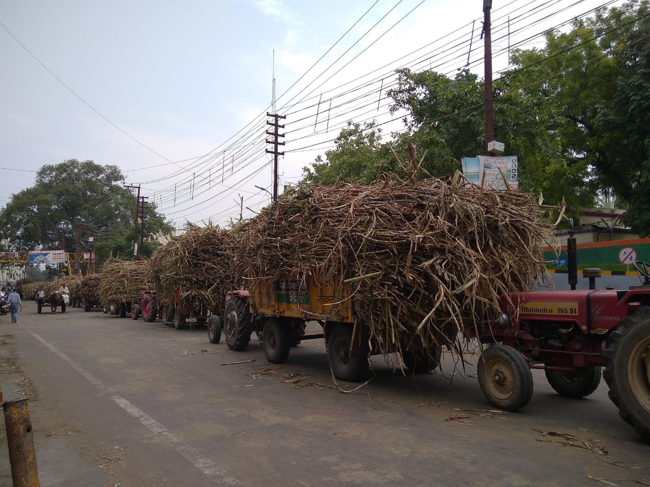 शामली में मिल रोड पर गन्ने की बुग्गियों से लगा जाम शामली में मिल रोड पर गन्ने की बुग्गियों से लगा जाम